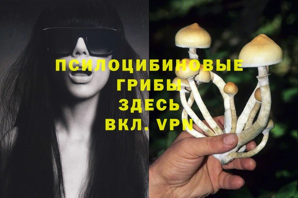 марихуана Белокуриха